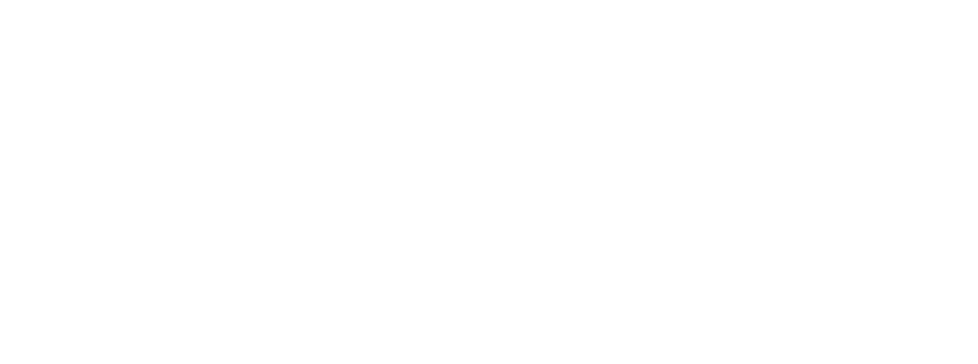 SS Cargo